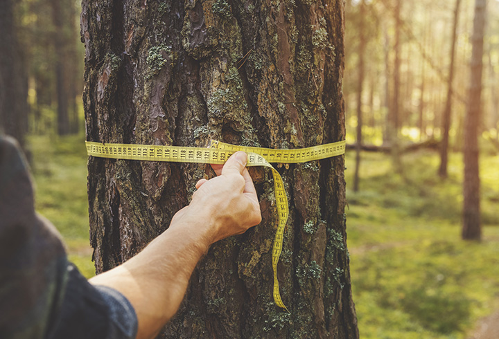 林業技術專業教學資源庫